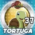 Resultado 37 Tortuga de Loto Chaima el 2026-05-27 a las 19:00
