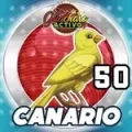 Resultado 50 Canario de Loto Chaima el 2026-10-11 a las 09:00