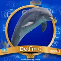 2025-03-15 12:30 0 Delfín