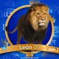2025-03-15 11:30 5 León