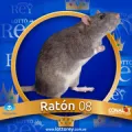2025-03-16 09:30 8 Ratón