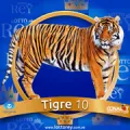 2025-03-15 14:30 10 Tigre