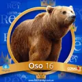2025-03-15 08:30 16 Oso