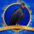 2025-06-13 17:30 28 Zamuro