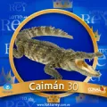 2025-06-14 10:30 30 Caimán