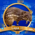 2025-07-29 19:30 31 Lapa
