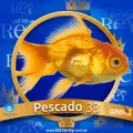 2025-06-13 16:30 33 Pescado