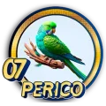 Resultado 7 Perico de Panda Plus el 2026-08-26 a las 12:30