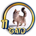 Resultado 11 Gato de Panda Plus el 2026-05-27 a las 19:30