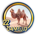 Resultado 22 Camello de Panda Plus el 2026-05-27 a las 15:30