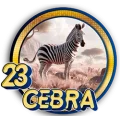 Resultado 23 Cebra de Panda Plus el 2026-06-12 a las 15:30