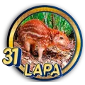 Resultado 31 Lapa de Panda Plus el 2026-06-12 a las 13:30
