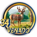 Resultado 34 Venado de Panda Plus el 2026-06-12 a las 14:30
