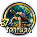 Resultado 37 Tortuga de Panda Plus el 2026-05-27 a las 18:30
