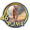 Resultado 46 Puma de Panda Plus el 2026-07-11 a las 15:30