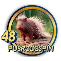 Resultado 48 Puercoespin de Panda Plus el 2026-07-12 a las 12:30