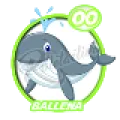 2025-06-13 13:00 00 Ballena