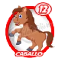 2026-01-17 09:00 12 Caballo