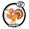 2025-07-20 11:00 17 Pavo