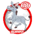 2025-07-29 15:00 18 Burro