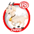 2025-06-14 12:00 19 Chivo