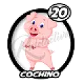 2025-12-13 13:00 20 Cochino