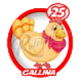 2025-06-13 12:00 25 Gallina