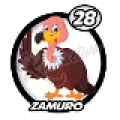 2025-07-19 11:00 28 Zamuro
