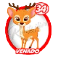 2025-06-13 09:00 34 Venado