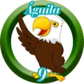 2025-06-13 18:30 9 águila
