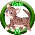 2025-07-19 15:30 11 Gato