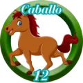 2025-06-13 14:30 12 Caballo