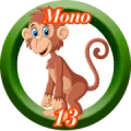 2025-07-20 09:30 13 Mono