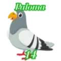 Resultado 14 Paloma de Ruleta Royal el 2026-06-12 a las 19:30