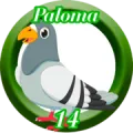 2025-07-28 13:30 14 Paloma
