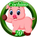 2025-07-28 17:30 20 Cochino