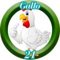 2025-07-29 11:30 21 Gallo