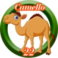 2025-07-28 15:30 22 Camello