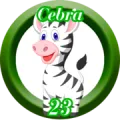 2025-06-13 08:30 23 Cebra