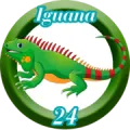 2025-12-13 12:30 24 Iguana