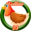 2025-12-13 15:30 25 Gallina