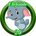 2025-06-14 11:30 29 Elefante