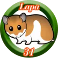 2025-06-13 13:30 31 Lapa