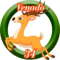 2025-12-13 11:30 34 Venado