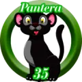 2025-06-13 10:30 35 Pantera