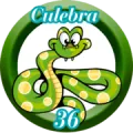 2025-06-13 16:30 36 Culebra
