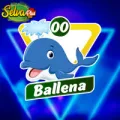 2025-06-13 18:00 00 Ballena