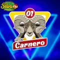 2024-06-03 08:00 1 Carnero