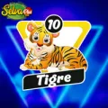 2025-06-14 11:00 10 Tigre
