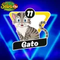 2025-06-13 16:00 11 Gato